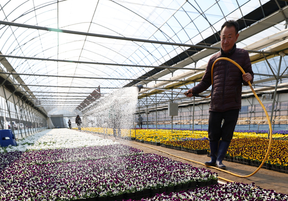 봄맞이로 분주한 양묘장