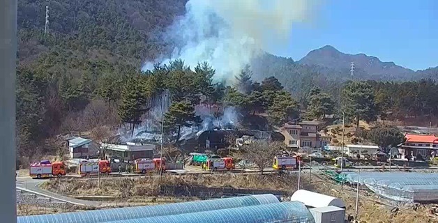 대전 유성구·대덕구서 산불 잇따라…2명 부상(종합)