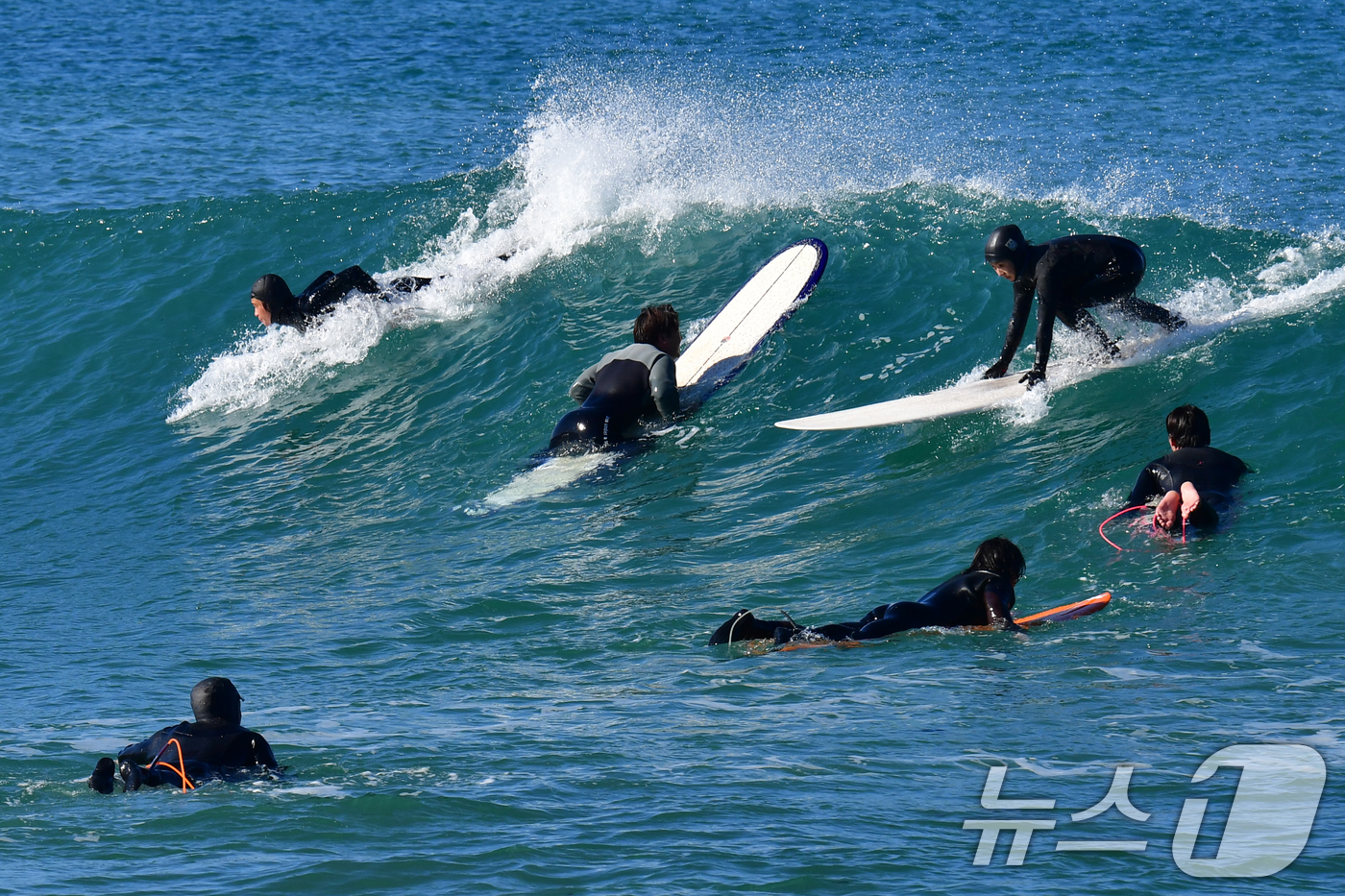 (포항=뉴스1) 최창호 기자 = 절기상 우수인 19일 오후 경북  포항시 북구 용한리 앞 바다에서 서퍼들이 파도를 타고 있다. 2026.2.19/뉴스1
