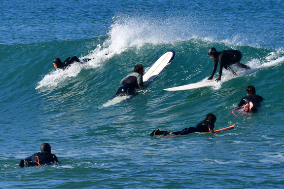 봄 파도 속으로