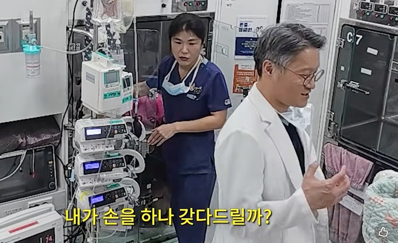 본문 이미지 - '손 하나 갖다 드릴까?' 엽경아 원장(왼쪽)이 수술 후 사람이 쓰다듬어 주지 않으면 불안해 하는 반려견을 걱정하자 이선태 원장이 손 모형을 가져오려는 모습(고려동물메디컬센터 유튜브 갈무리) ⓒ 뉴스1