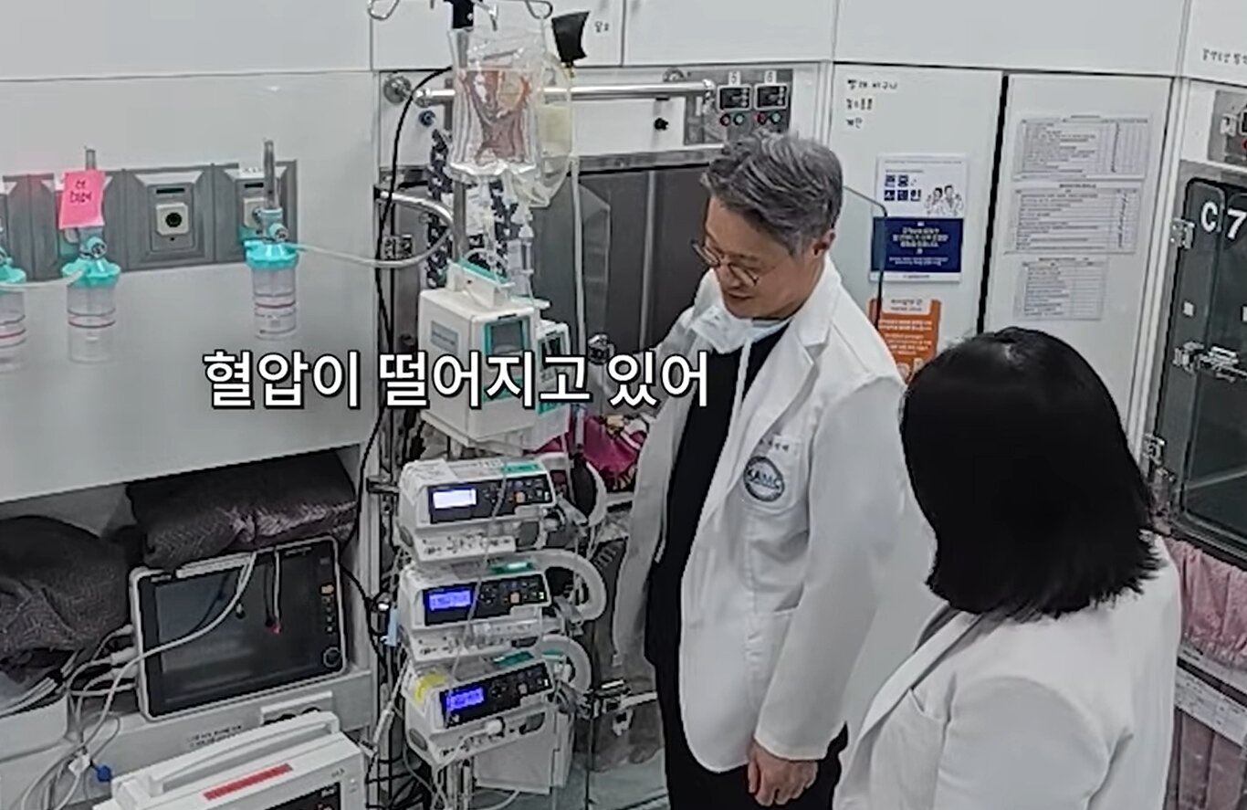 본문 이미지 - 손 모형을 쓰다듬듯이 머리 위에 얹어 놓자 실제로 혈압이 떨어지며 안정을 취한 땅콩(고려동물메디컬센터 유튜브 갈무리 ⓒ 뉴스1