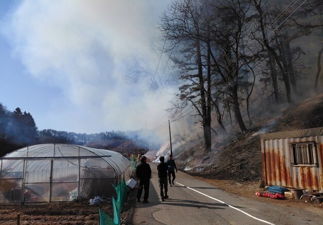 용인 처인구 양지면서 산불…헬기 등 투입 1시간여만에 진화
