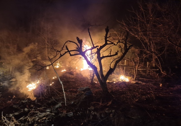 전남 강진 산불 1시간여만에 진화…인명피해 없어