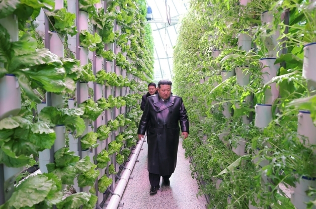 '엎어지면 중국땅' 최북단에 대규모 농장 지은 김정은의 노림수는?
