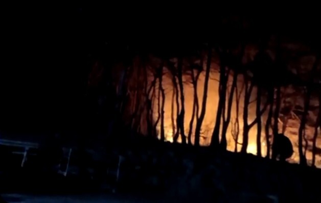 보령서 산불 17분 만에 진화…차량 8대·인력 15명 투입