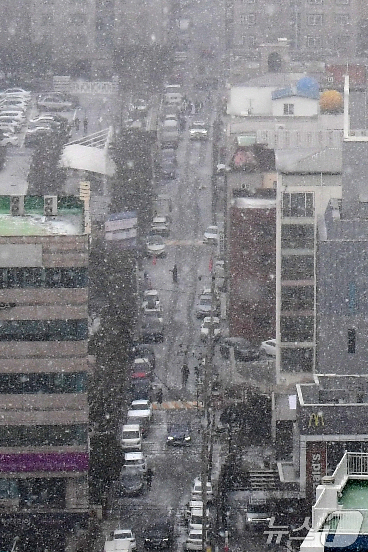 (포항=뉴스1) 최창호 기자 = 경북 일부 지역에 대설 주의보가 발령된 2일 오전 포항시 남구 지역에도 눈이 내리고 있다. 2026.2.2/뉴스1