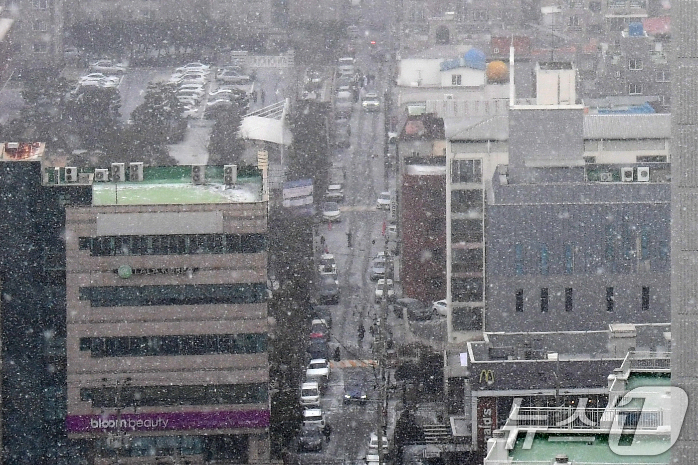 (포항=뉴스1) 최창호 기자 = 경북 일부 지역에 대설 주의보가 발령된 2일 오전 포항시에도 눈이 내리고 있다. 2026.2.2/뉴스1