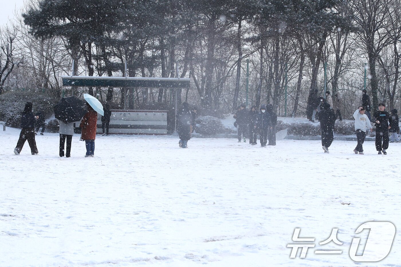 본문 이미지 - 2일 오전 대구의 한 초등학교 운동장에서 학생들이 밤사이 내린 눈을 구경하고 있다. 2026.2.2/뉴스1 ⓒ News1 공정식 기자