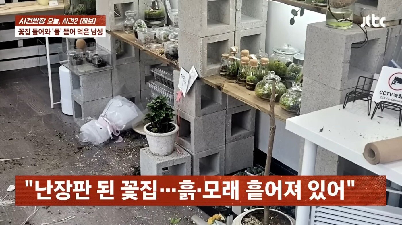 본문 이미지 - (JTBC '사건반장')