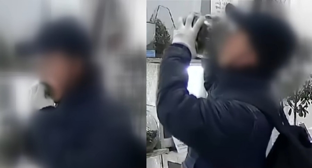 무인 꽃집 들어와 풀·이끼 뜯어먹은 만취남, 흙까지 퍼먹었다[영상]