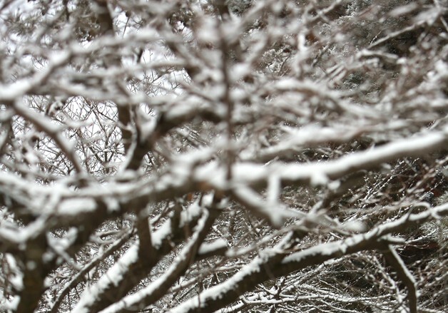 밤새 6㎝ 안팎 눈 내린 충북 곳곳서 '미끄덩'…출근길 불편