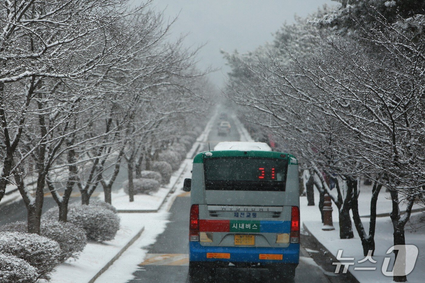 본문 이미지 - 제천 세명대 캠퍼스에 내린 눈.2026. 2.2 ⓒNews1 /뉴스1 손도언 기자 