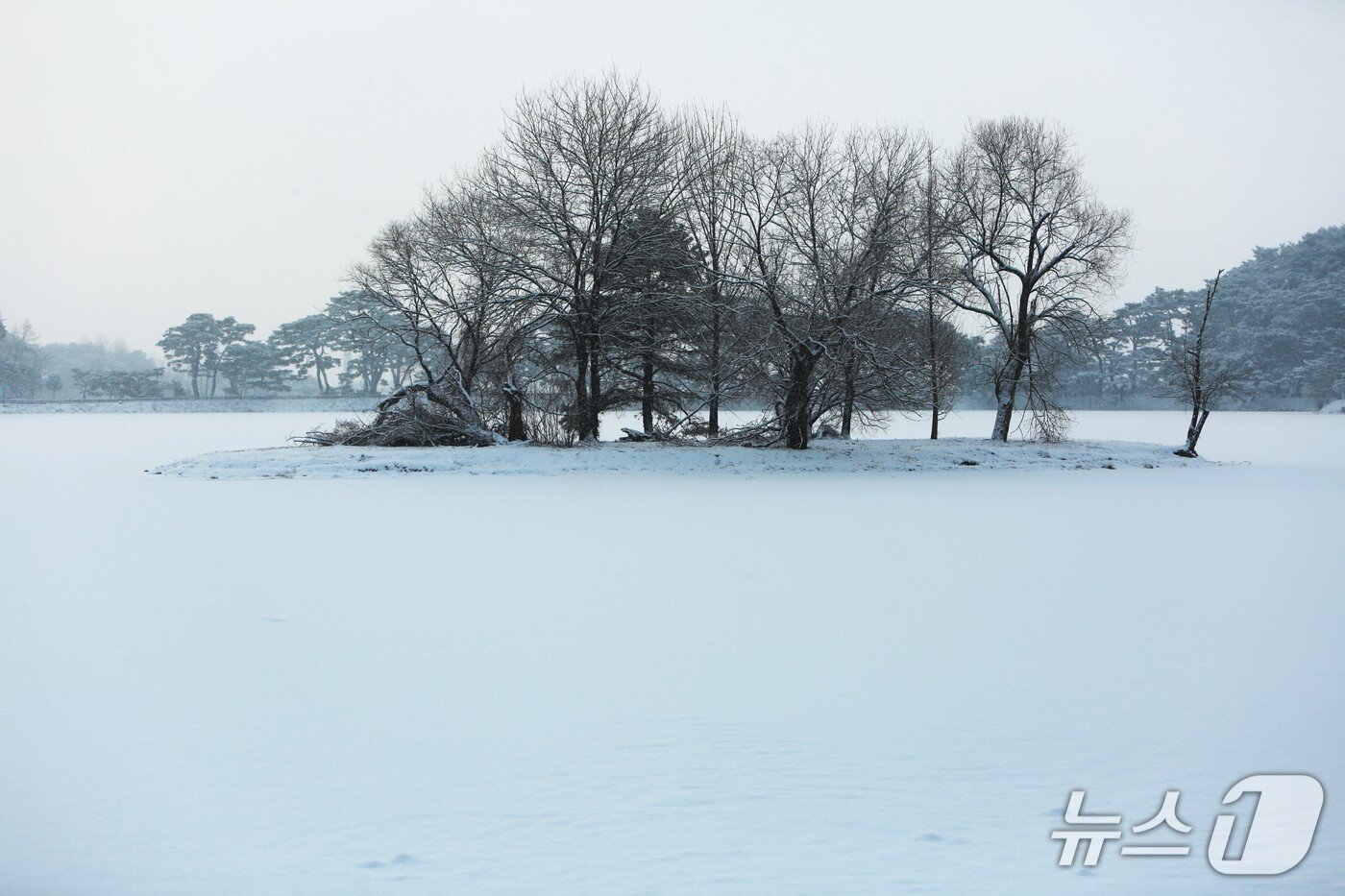 본문 이미지 - 2일 눈 쌓인 제천 의림지에 떠 있는 인공섬 '순주섬'. 2026. 2.2 ⓒNews1 /뉴스1 손도언 기자 
