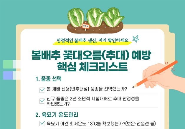 봄배추 상품성 떨어뜨리는 '꽃대오름'…농진청 "모종 온도 관리해야"