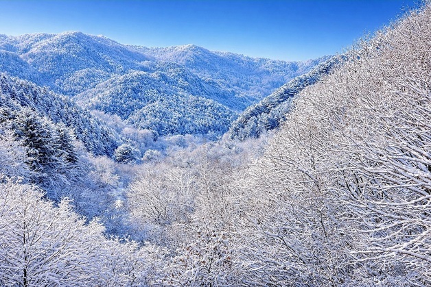 '삽당령 24.7㎝' 강원 산지 많은 눈…대설특보는 모두 해제