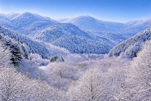 철원·화천·양구평지·인제평지 대설주의보 발효