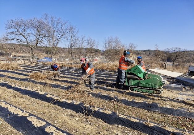 보은군 영농부산물 안전처리 지원…내달 27일까지
