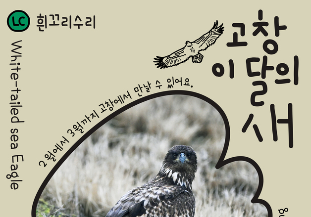 고창군 2월 이달의 새, '흰꼬리수리' 선정