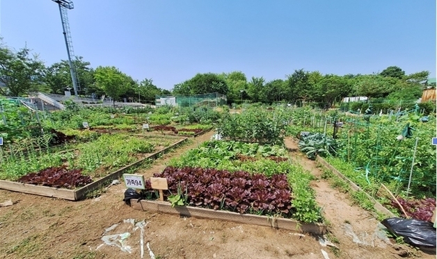 부평구, 공영텃밭 626구획 분양…3월 20일 선정자 발표