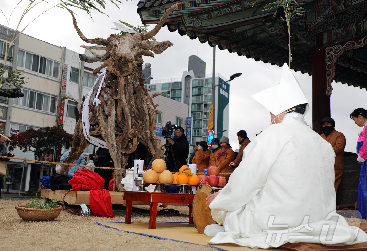 (제주=뉴스1) 오미란 기자 = 제주 새봄맞이 전통축제 \'탐라국 입춘굿\' 첫날인 2일 오후 제주시 관덕정 앞에서 나무로 만든 소를 모시고 한 해 풍년을 기원하며 고사를 지내는 …