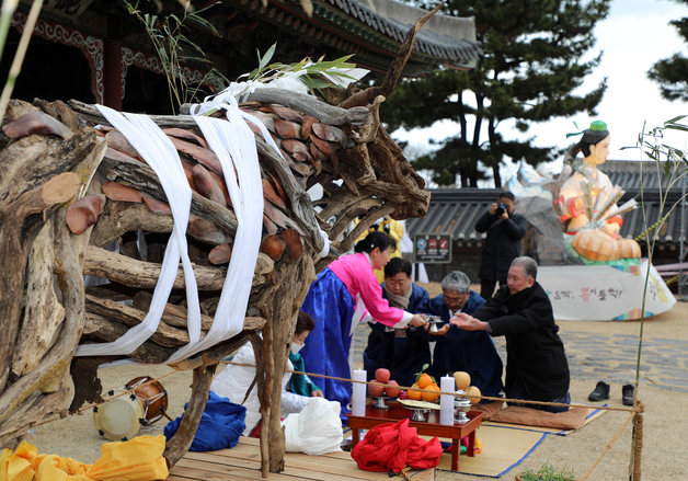 입춘 알리는 제주 \'낭쉐\'