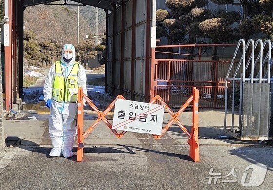 전북 첫 ASF 고창군, 2단계 강화 방역 가동…"지금이 최대 고비"