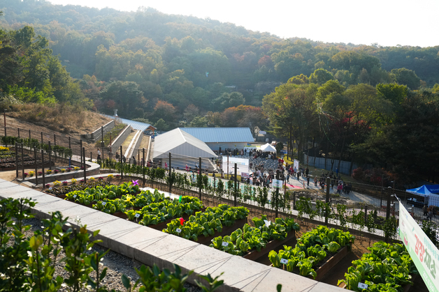 서울 도심 자투리텃밭 9천여 구획, 17개 자치구서 분양