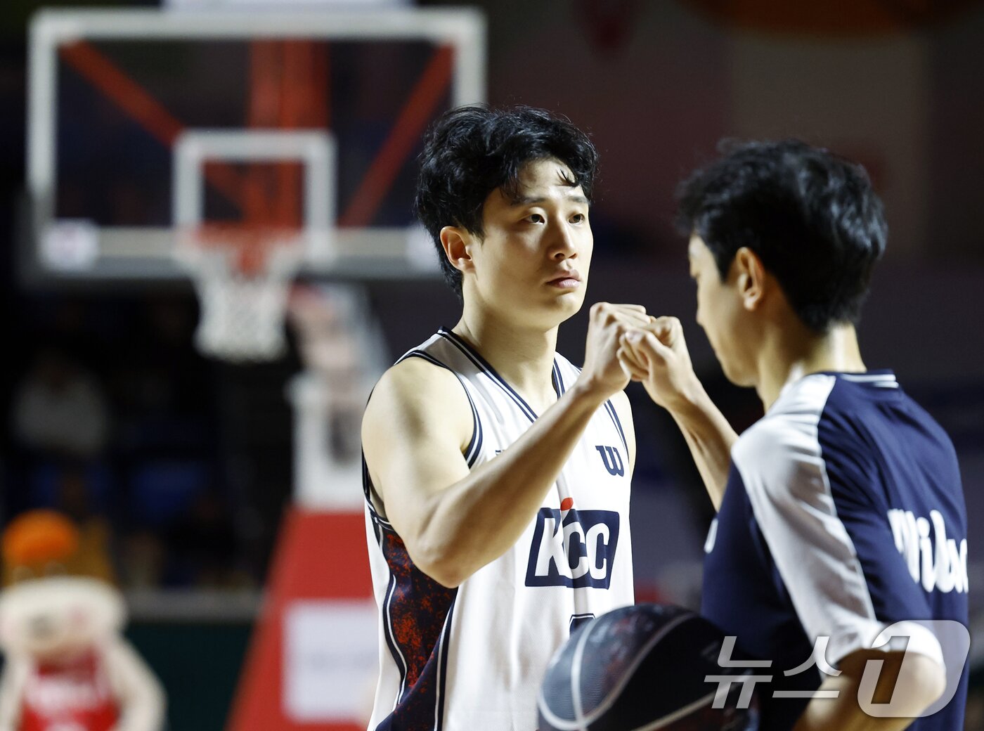 본문 이미지 - 2일 오후 서울시 송파구 잠실학생체육관에서 열린 2025-2026 LG전자 프로농구 서울 SK 나이츠와 부산 KCC 이지스의 경기에 스타팅으로 나선 KCC 허웅과 허훈이 주먹을 맞대며 결의를 다지고 있다. 2026.2.2 ⓒ 뉴스1 박정호 기자