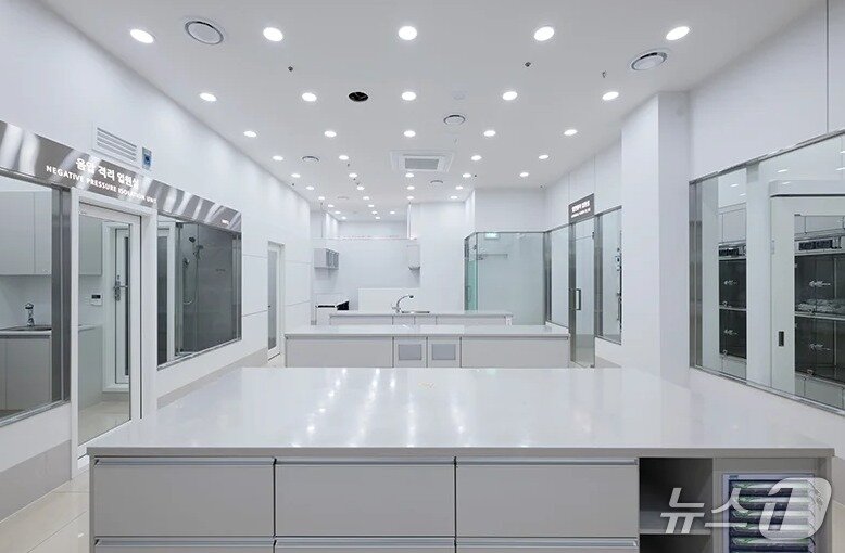 본문 이미지 - 고양이 처치실(사람앤동물메디컬센터 제공) ⓒ 뉴스1