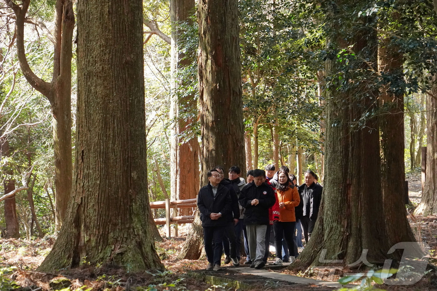 (대전=뉴스1) 이동원 기자 = 김인호 산림청장이 19일 국립산림과학원 한남사려니오름숲을 찾아 산림경영 현장을 점검하고 있다.김 청장은 "한남사려니오름숲의 지속가능한 산림경영관리와 …