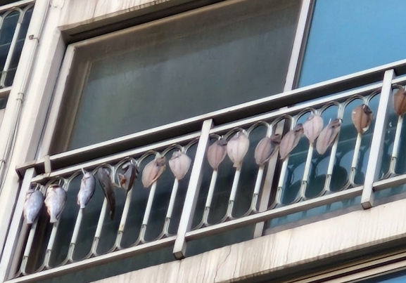 베란다서 생선 말리는 윗집 '악취 진동'…손자 '발망치' 소음까지 분통