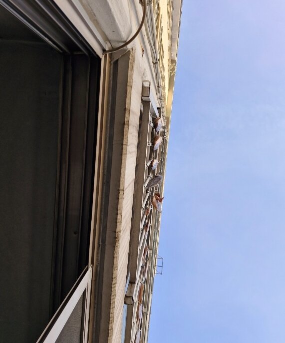 본문 이미지 - 온라인 커뮤니티