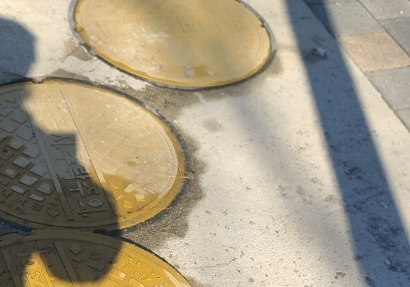 충주시, 여름철 해충 발생 대비 선제적 방역 추진