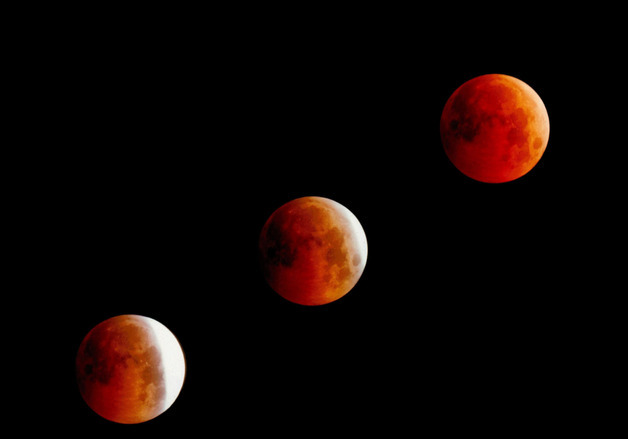 "별보러 가지 않을래?"…강서별빛우주과학관, 다채로운 프로그램 운영