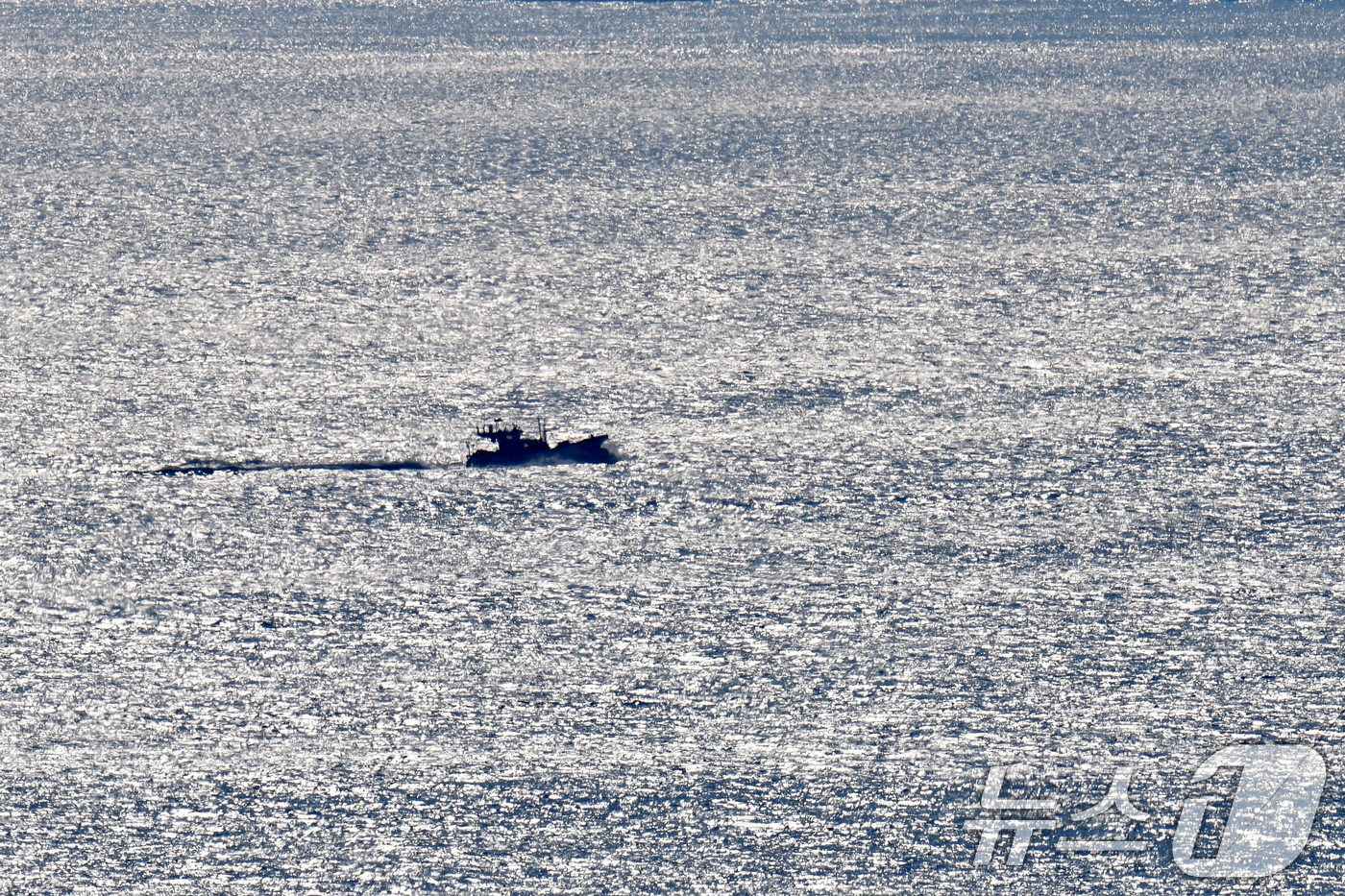 (포항=뉴스1) 최창호 기자 = 20일 오전 경북 포항시 북구 영일대해수욕장 앞 바다에서 조업을 마친 어선이 귀항하고 있다. 2026.2.20/뉴스1