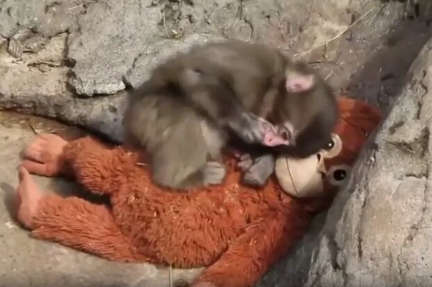 본문 이미지 - 더선