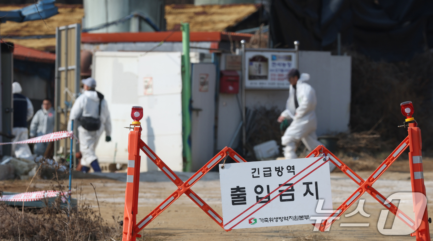 (평택=뉴스1) 김영운 기자 = 20일 경기 평택시의 한 양돈농장에서 고병원성 아프리카돼지열병(ASF) 발생해 방역당국이 통제 및 방역 작업을 하고 있다. 2026.2.20/뉴스1 …