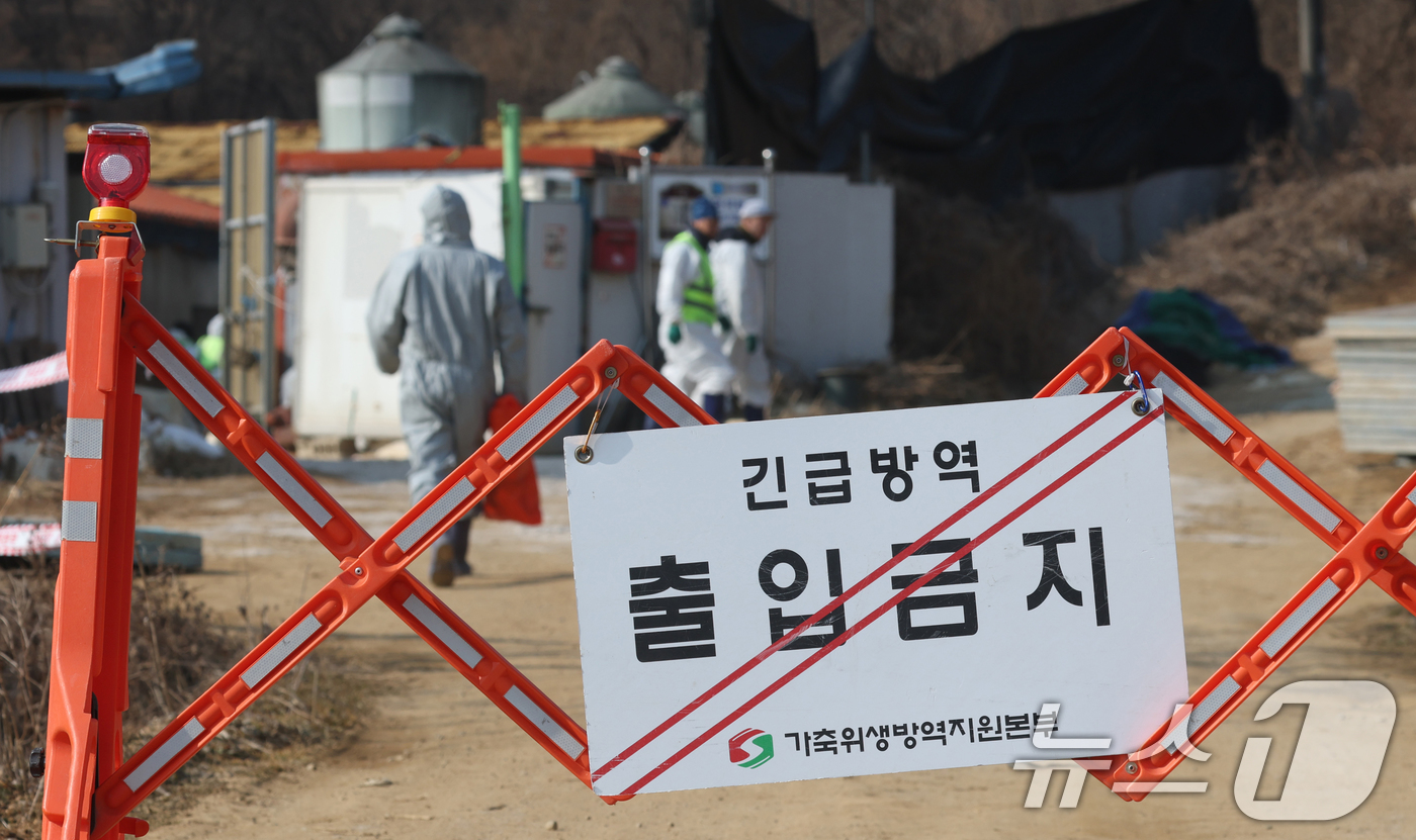 (평택=뉴스1) 김영운 기자 = 20일 경기 평택시의 한 양돈농장에서 고병원성 아프리카돼지열병(ASF) 발생해 방역당국이 통제 및 방역 작업을 하고 있다. 2026.2.20/뉴스1 …