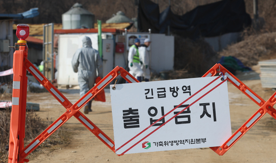 경기도, ASF 의심 사료 '사용중지' 행정명령…농가 1천곳 긴급점검