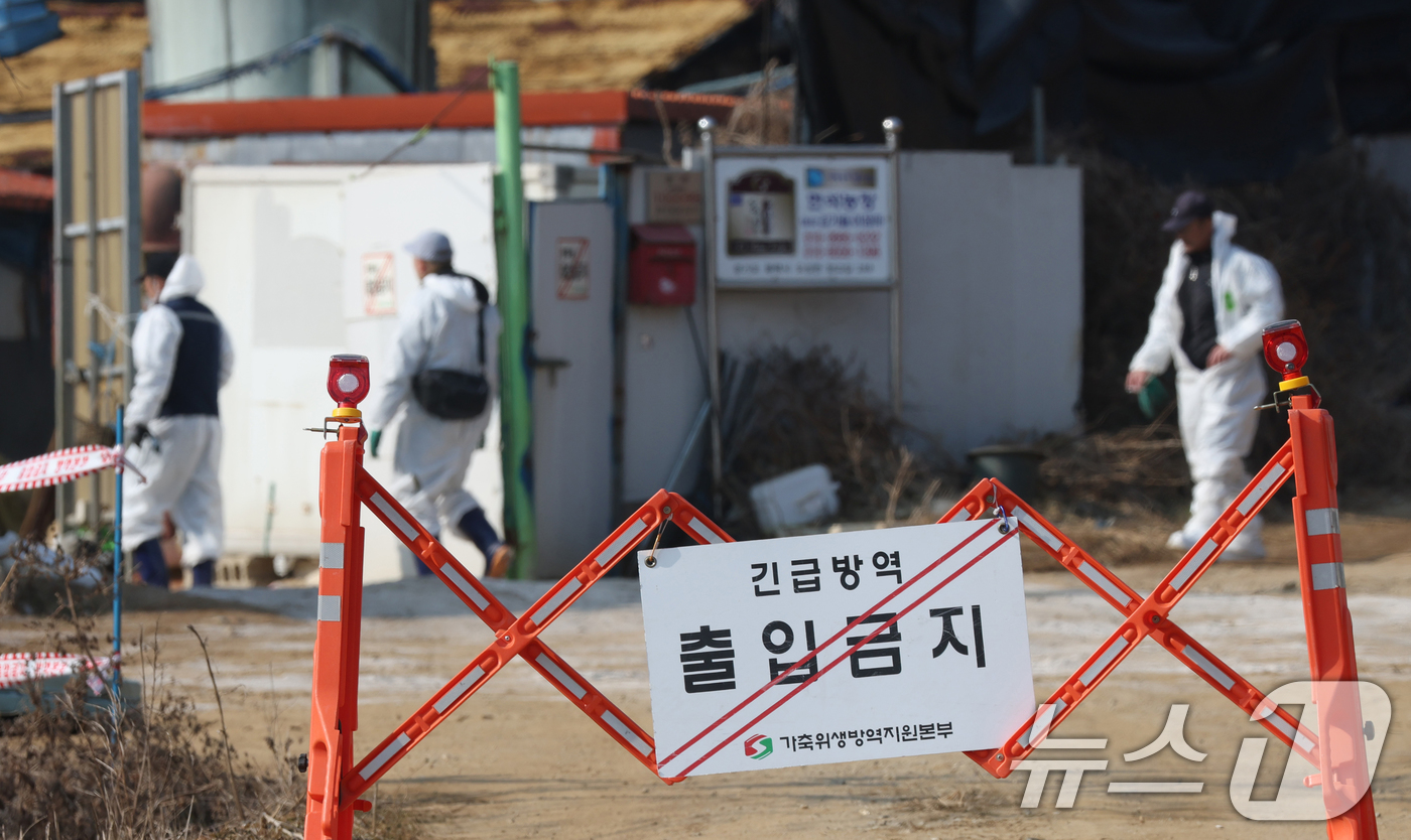 (평택=뉴스1) 김영운 기자 = 20일 경기 평택시의 한 양돈농장에서 고병원성 아프리카돼지열병(ASF) 발생해 방역당국이 통제 및 방역 작업을 하고 있다. 2026.2.20/뉴스1 …