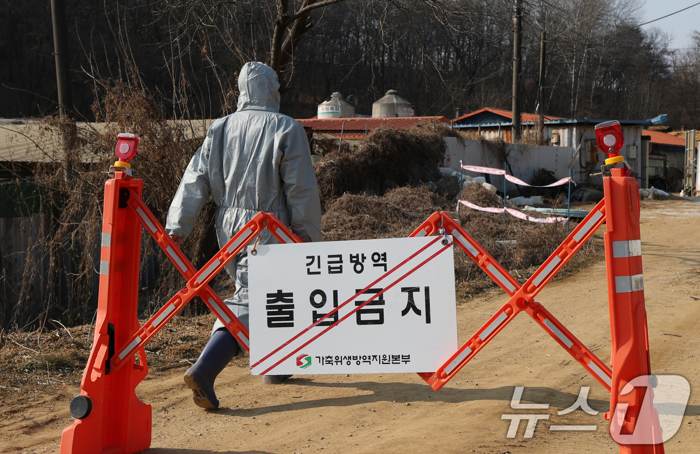 (평택=뉴스1) 김영운 기자 = 20일 경기 평택시의 한 양돈농장에서 고병원성 아프리카돼지열병(ASF) 발생해 방역당국이 통제 및 방역 작업을 하고 있다. 2026.2.20/뉴스1 …