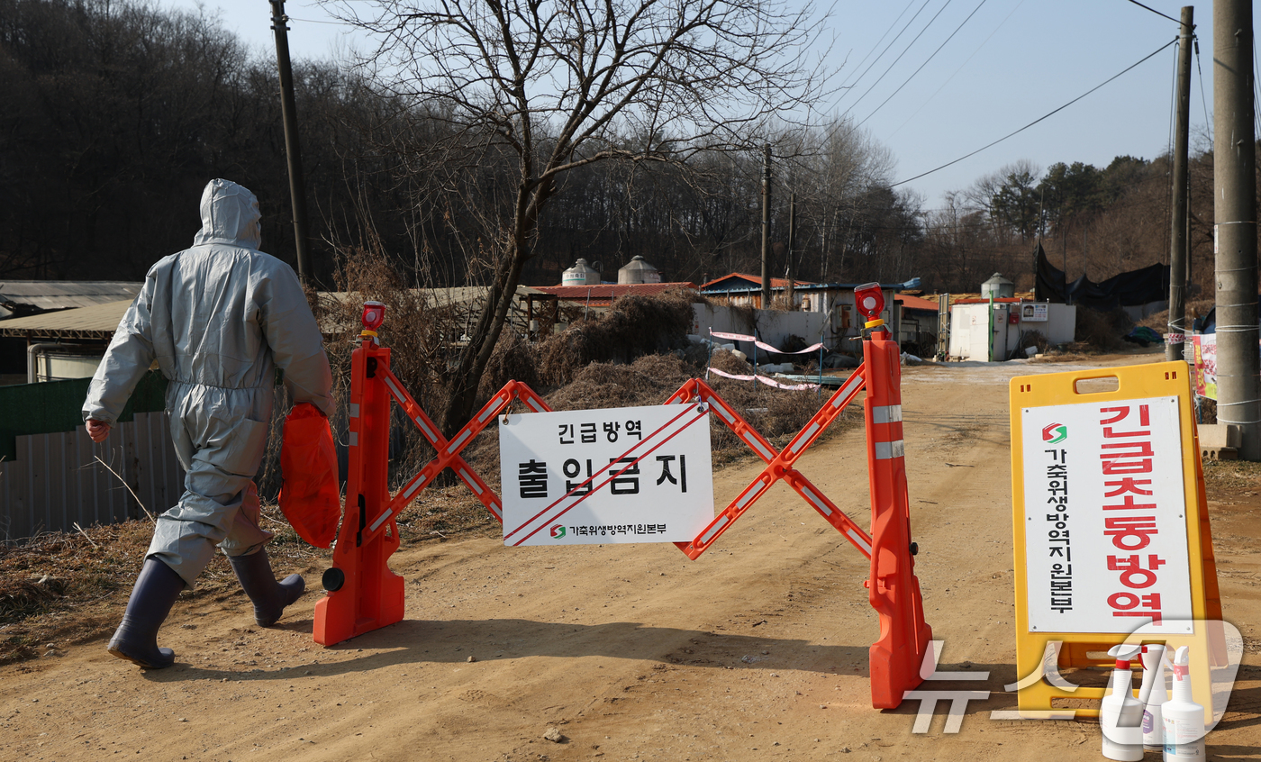 (평택=뉴스1) 김영운 기자 = 20일 경기 평택시의 한 양돈농장에서 고병원성 아프리카돼지열병(ASF) 발생해 방역당국이 통제 및 방역 작업을 하고 있다. 2026.2.20/뉴스1 …