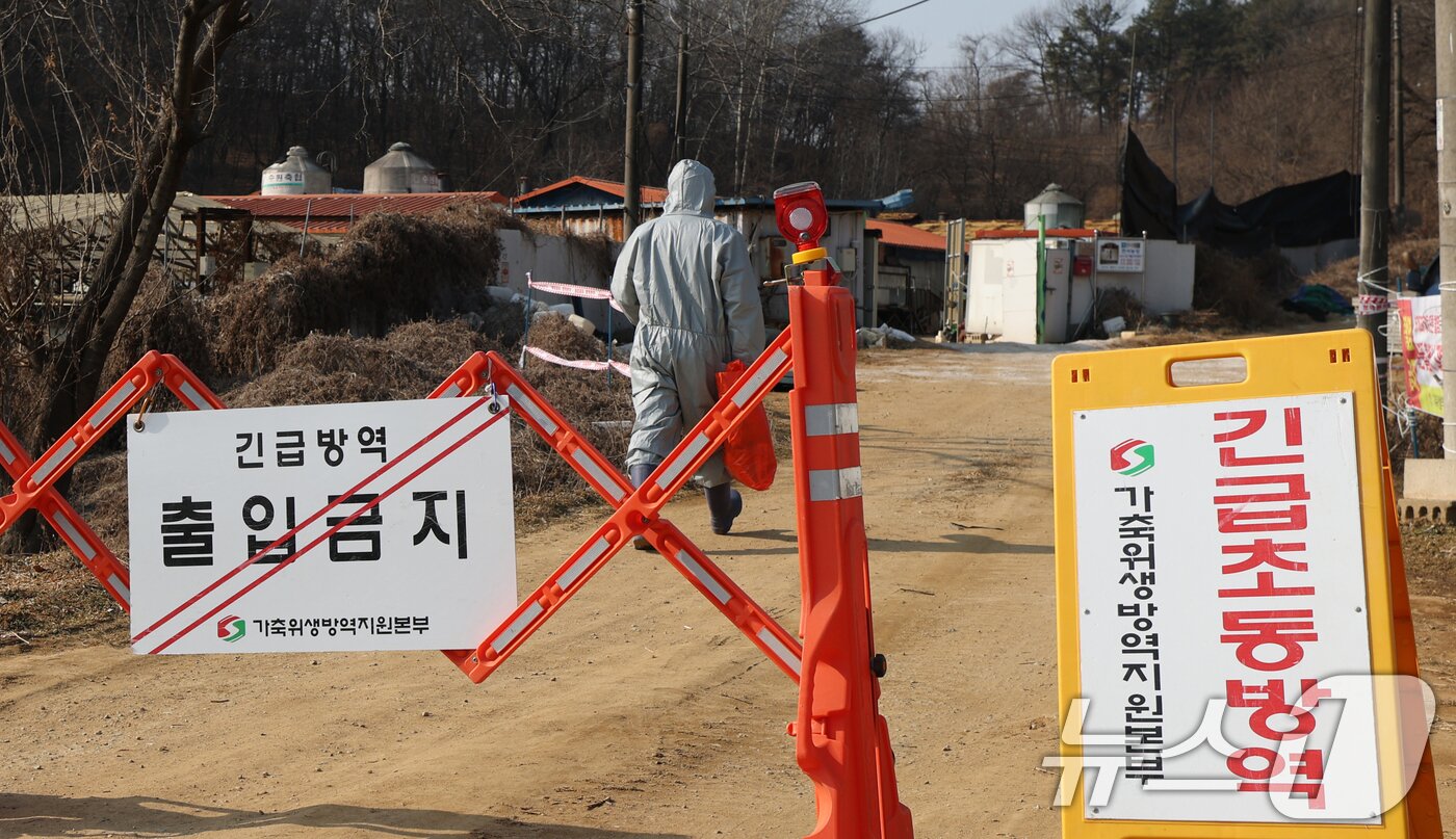 본문 이미지 - 20일 경기 평택시의 한 양돈농장에서 고병원성 아프리카돼지열병(ASF) 발생해 방역당국이 통제 및 방역 작업을 하고 있다. 2026.2.20 ⓒ 뉴스1 김영운 기자