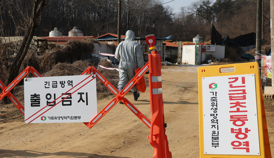 평택 양돈농장서 ASF 추가 발생… 화성 이어 경기권 확산