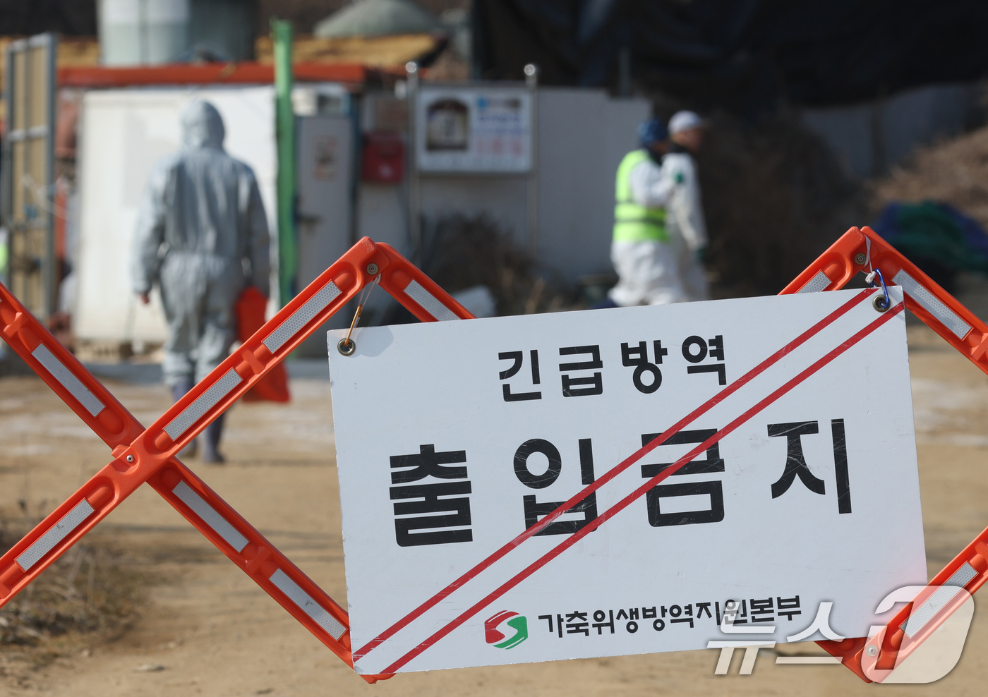 (평택=뉴스1) 김영운 기자 = 20일 경기 평택시의 한 양돈농장에서 고병원성 아프리카돼지열병(ASF) 발생해 방역당국이 통제 및 방역 작업을 하고 있다. 2026.2.20/뉴스1 …