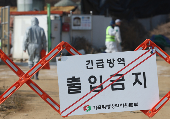 고양은 구제역, 철원에선 ASF 발생…중수본 "이상 증상 발견 즉시 신고"