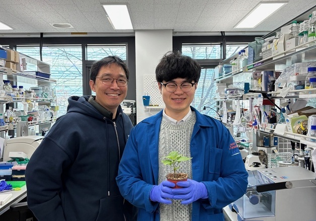 잡초의 반란…'까마중'에서 스테로이드 호르몬 원료 대량 생산