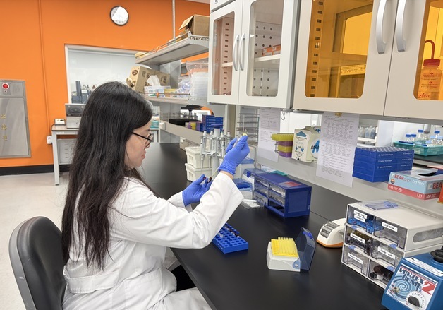 당진시, 농산물 잔류농약 검사 연중 운영…"먹거리 안전 강화"