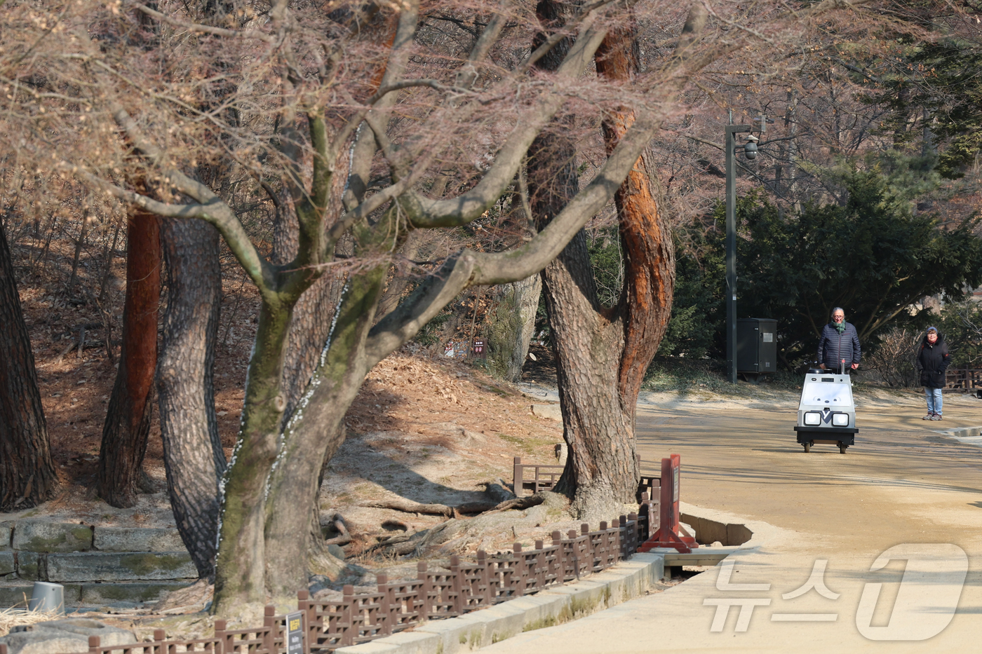 (서울=뉴스1) 박지혜 기자 = 시범 운영중인 자율 순찰 로봇 '순라봇'이 20일 서울 창덕궁에서 경내를 순찰하고 있다.(공동취재) 2026.2.20/뉴스1